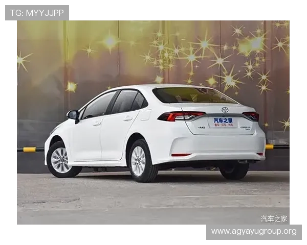 凯发旗舰厅登录线路安全策略，保障玩家账号信息安全无忧